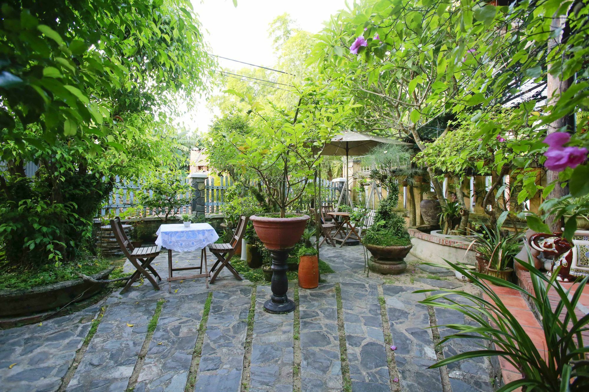 Terra Cotta Homestay Χόι Αν Εξωτερικό φωτογραφία